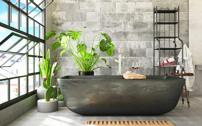 đặt cây nơi có ánh sáng