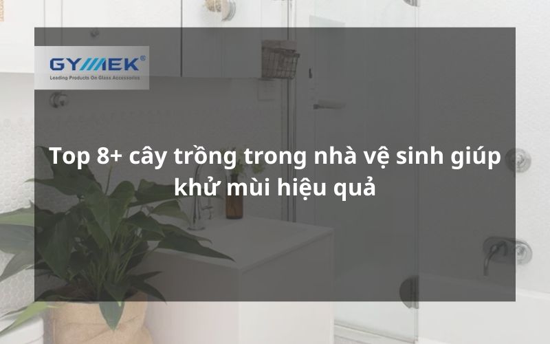 cây trông trong nhà vệ sinh