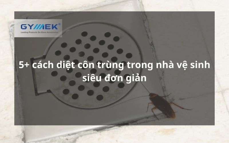 cách diệt côn trùng trong nhà vệ sinh siêu đơn giản