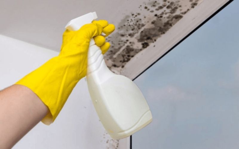 Cách vệ sinh sàn nhà tắm bị mốc đen, tẩy nấm mốc đen