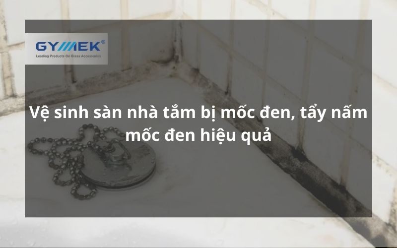 Cách vệ sinh sàn nhà tắm bị mốc đen, tẩy nấm mốc đen
