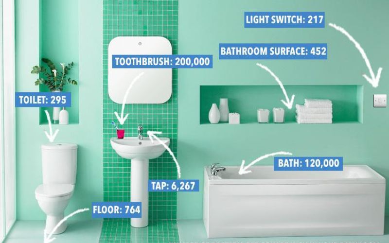 Khu vực nhiều vi khuẩn trong nhà vệ sinh