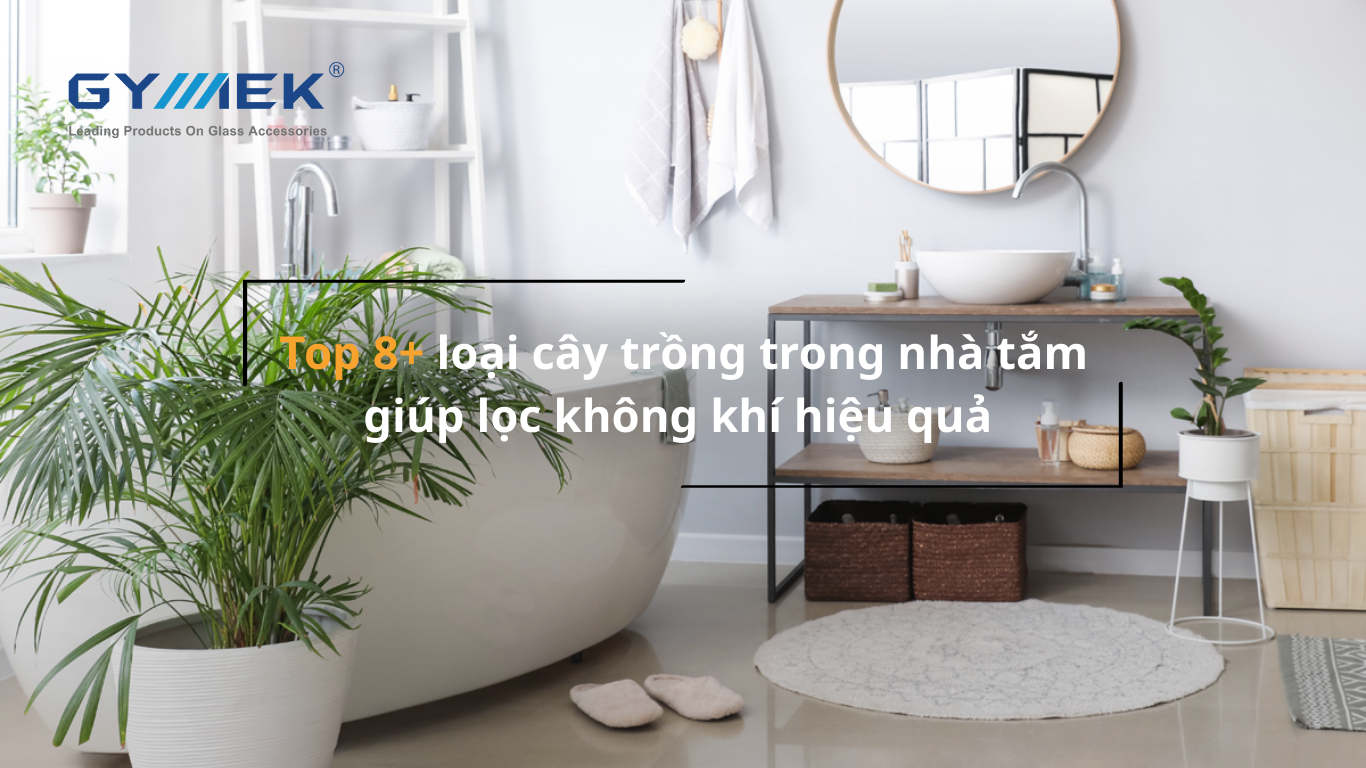 Cây trồng trong nhà tắm