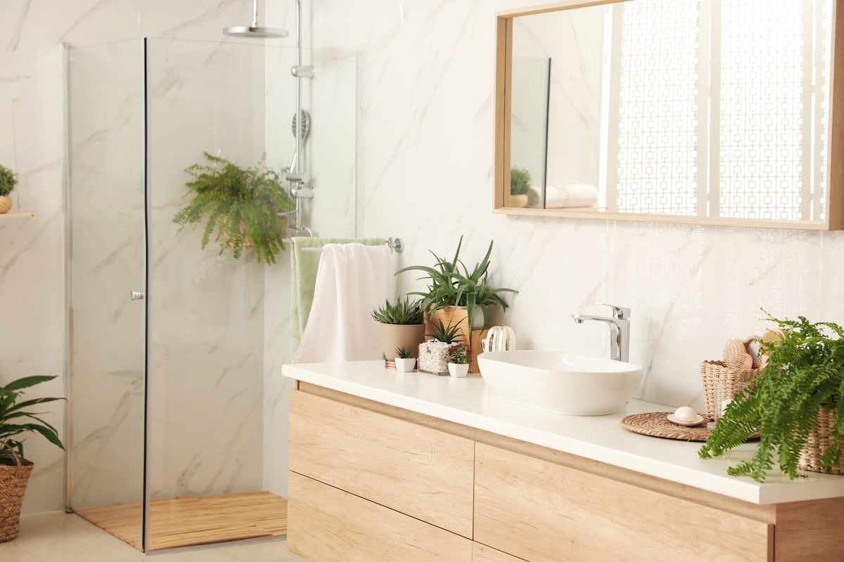 cây trồng nhà vệ sinh